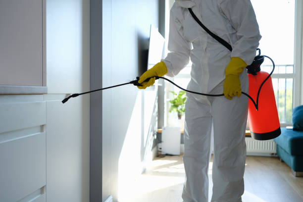 Best Mold Odor Removal Services  in Quinnesec, MI