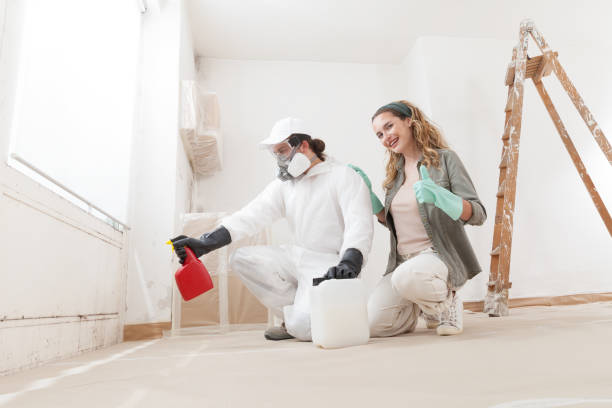 Best Industrial Mold Remediation  in Quinnesec, MI